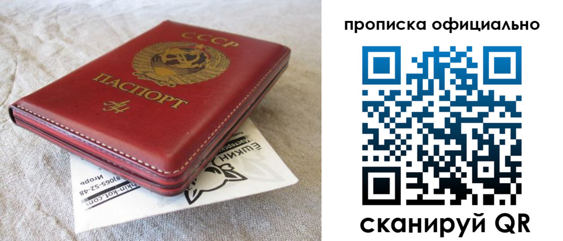 временная регистрация гарантия в Долгопрудном